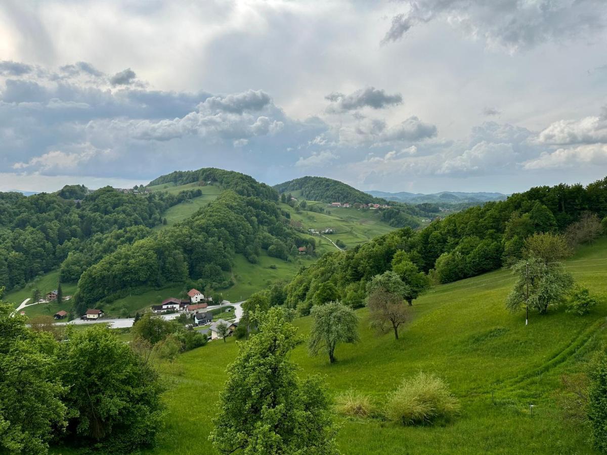 Karla'S House Bed & Breakfast Dobje pri Planini Bagian luar foto