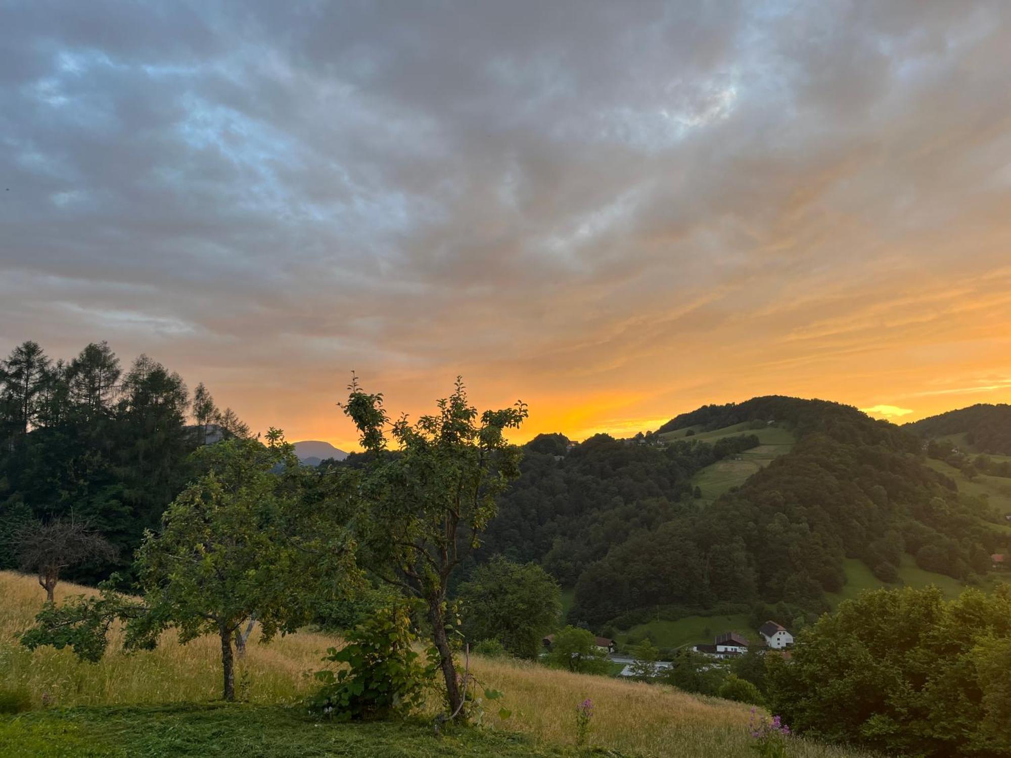 Karla'S House Bed & Breakfast Dobje pri Planini Bagian luar foto