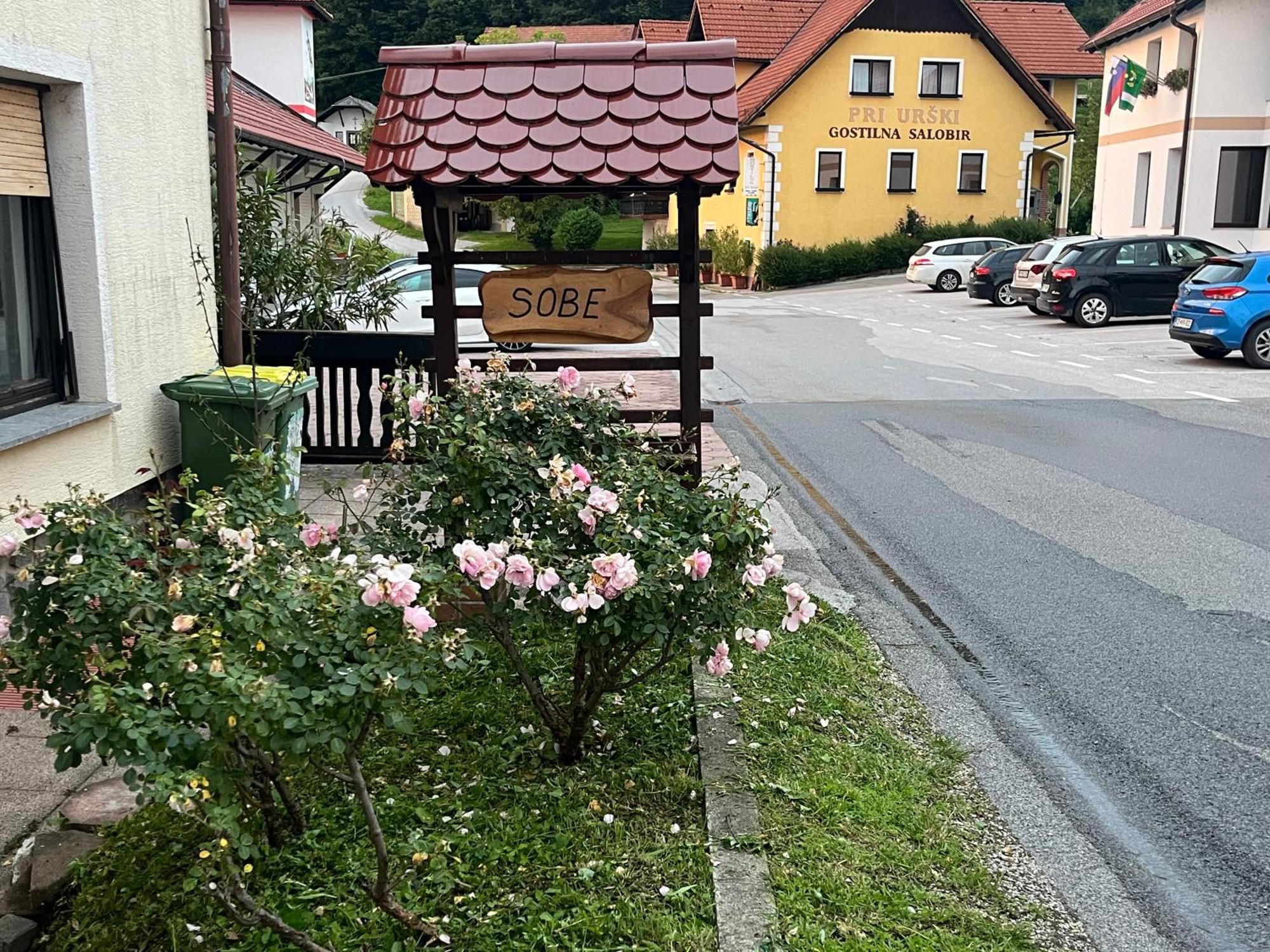 Karla'S House Bed & Breakfast Dobje pri Planini Bagian luar foto